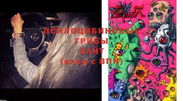 прущая мука Дмитров