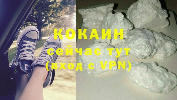 меф Дмитриев