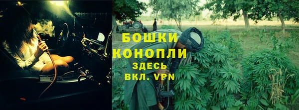 меф Дмитриев